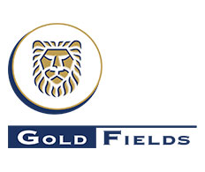 Gold Fields
